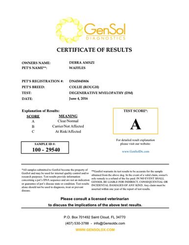 WafflesGenSol result certificate_100-29540.jpg